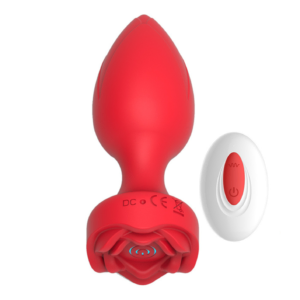 plug rendondo con control